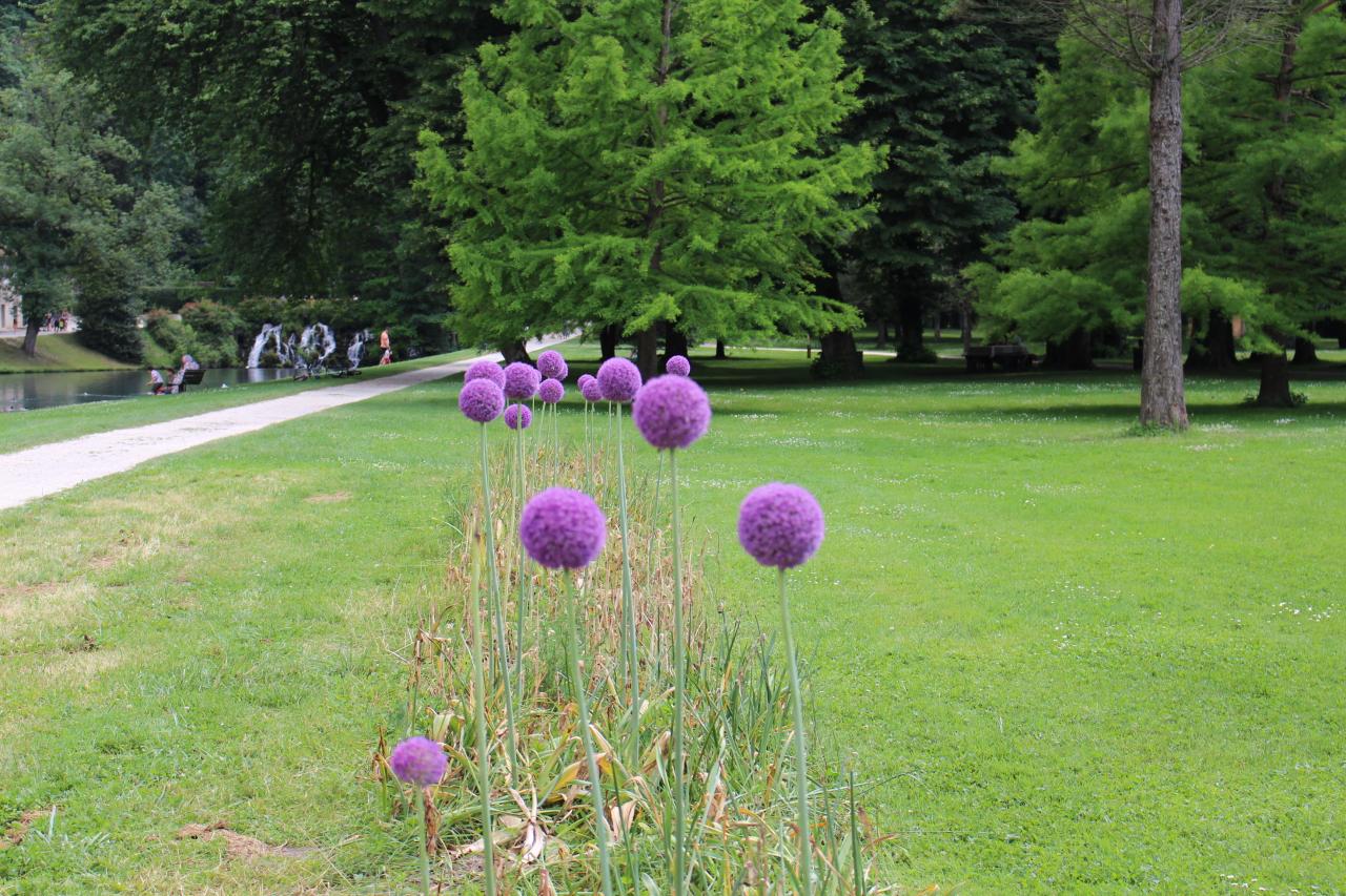 Le parc du domaine de Vizille