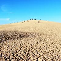 Le Dune du Pilat