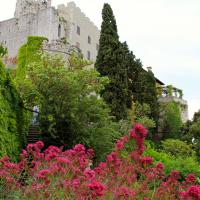 Le château de Duino