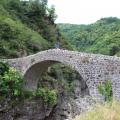 Img 6929