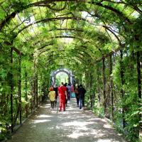 Schloss Schonbrunn