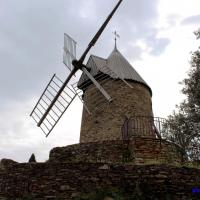 Le Moulin de Collioure