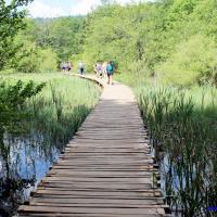 Parc National des Lacs de Plitvice