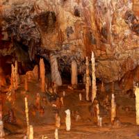 La Grotte de Postojna