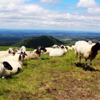 Puy de Dôme